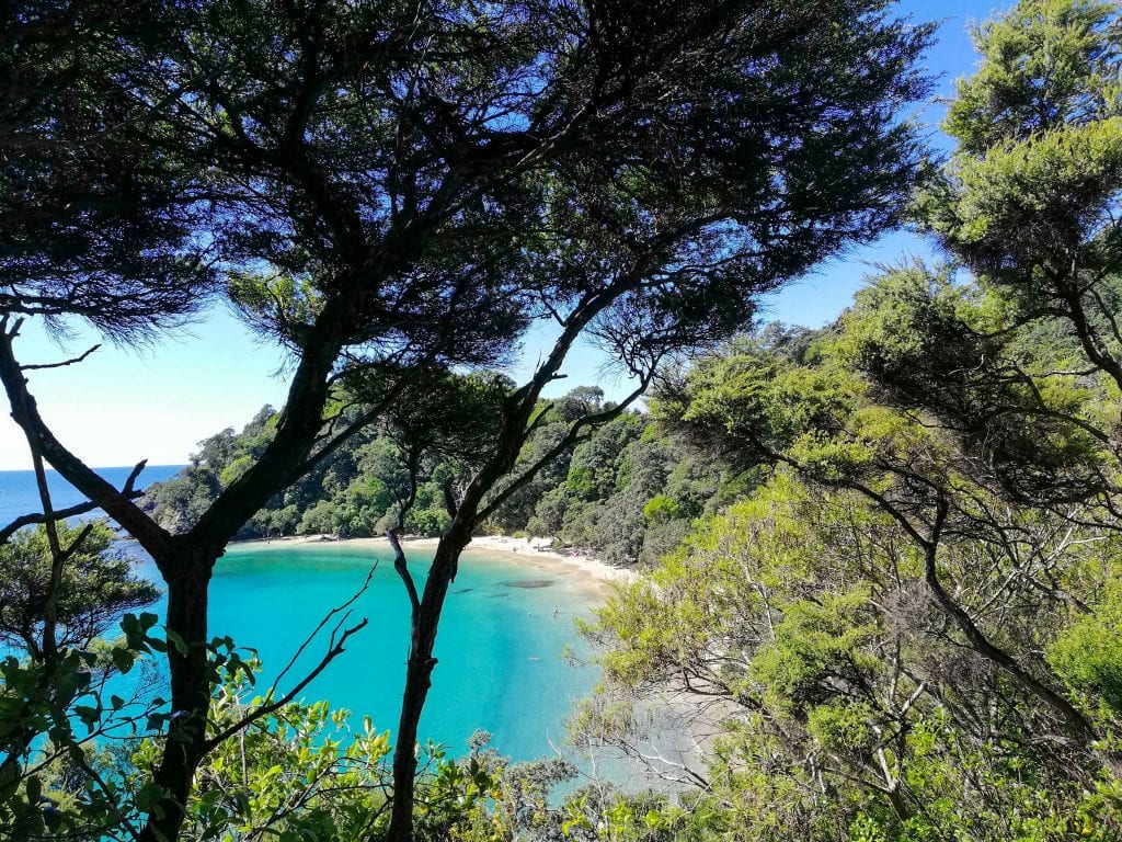 whale bay, tutukaka, whangarei, Northland, New Zealand