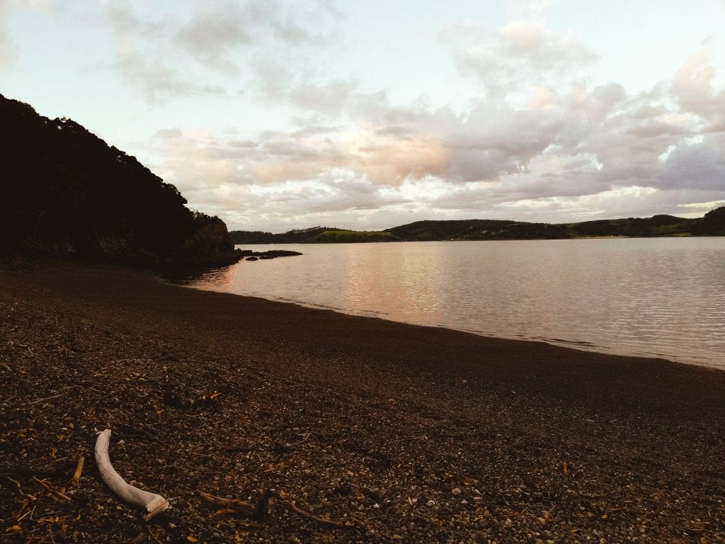 ake ake, kerikeri, new zealand