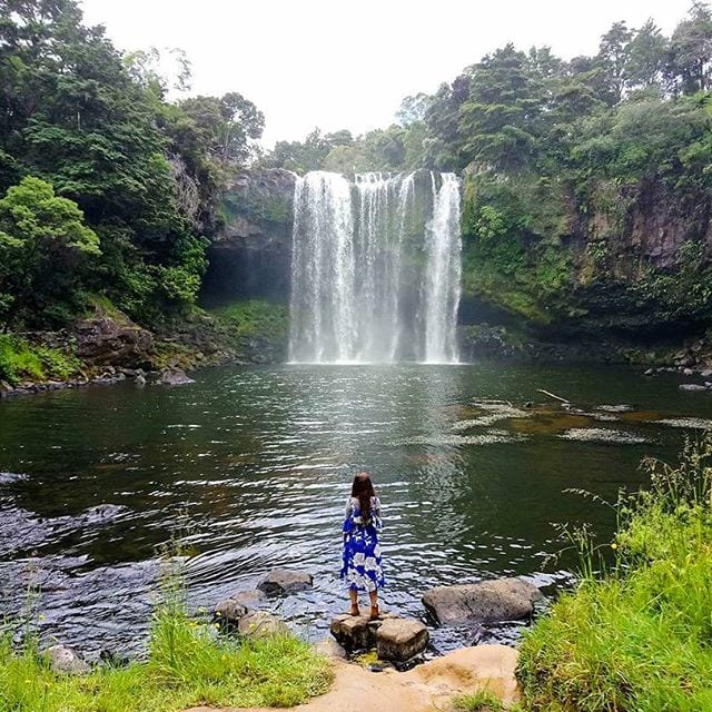 rainbow falls kerikeri