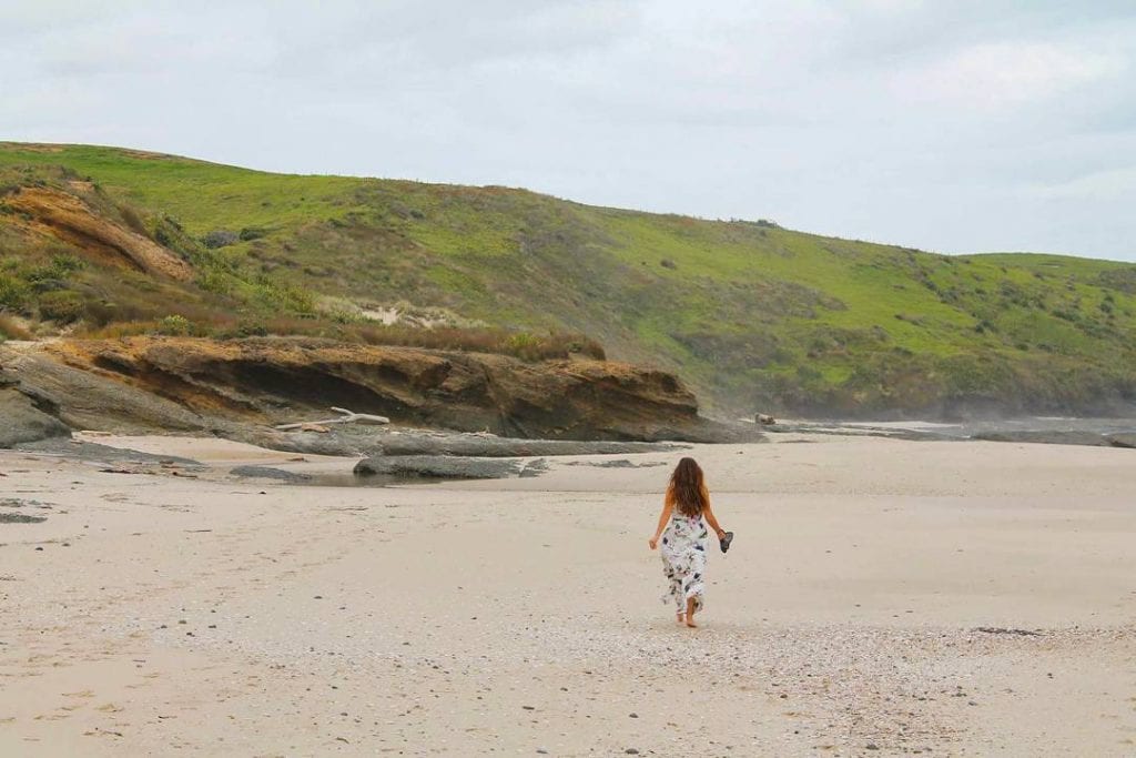 omapere, west coast, new zealand, Northland, New Zealand