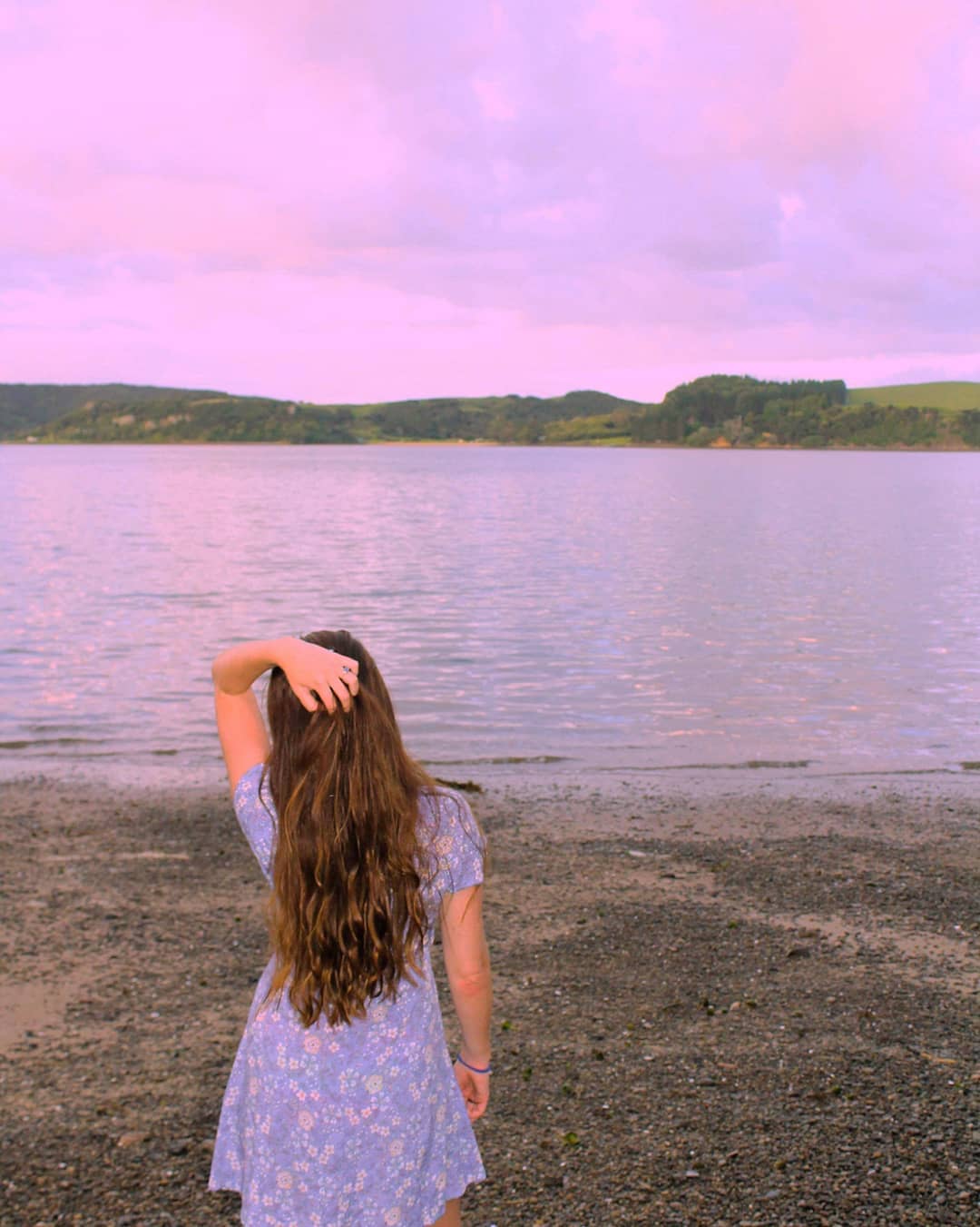 ake ake, kerikeri, new zealand