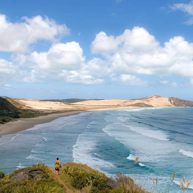 cape reinga, new zealand beach, northland