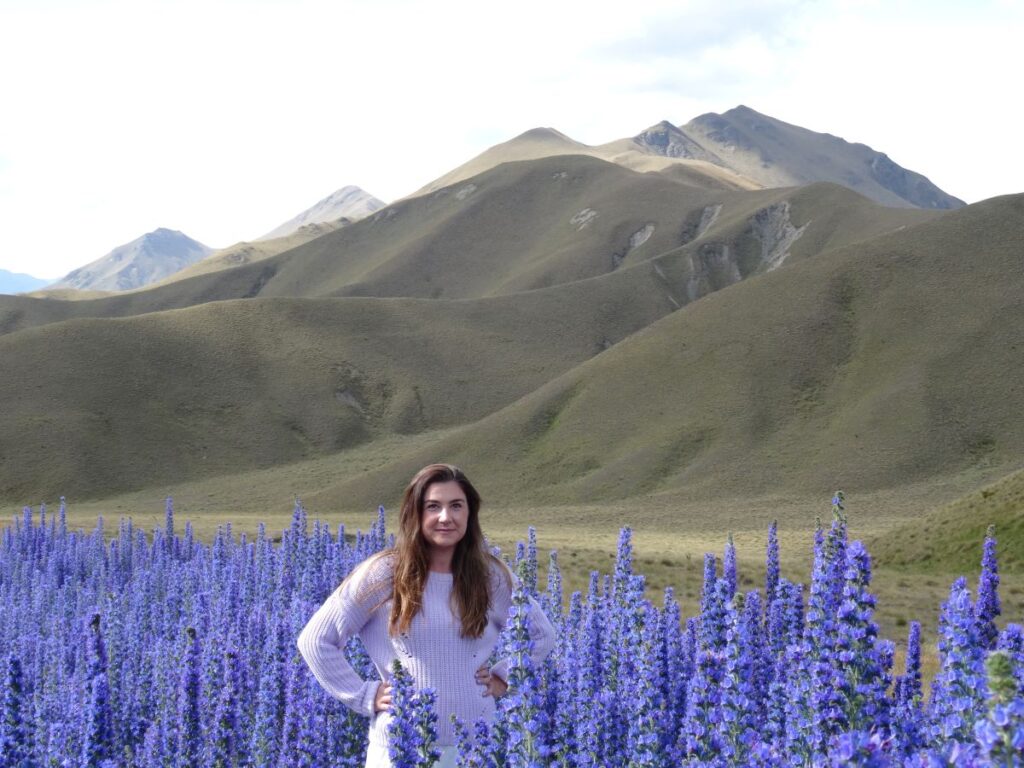 lady in lupins lindis pass