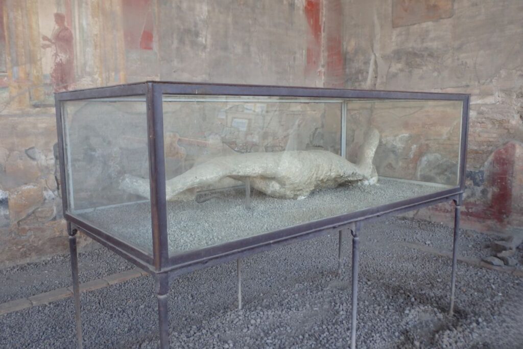 body pompeii