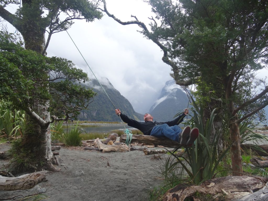 milford sound swing