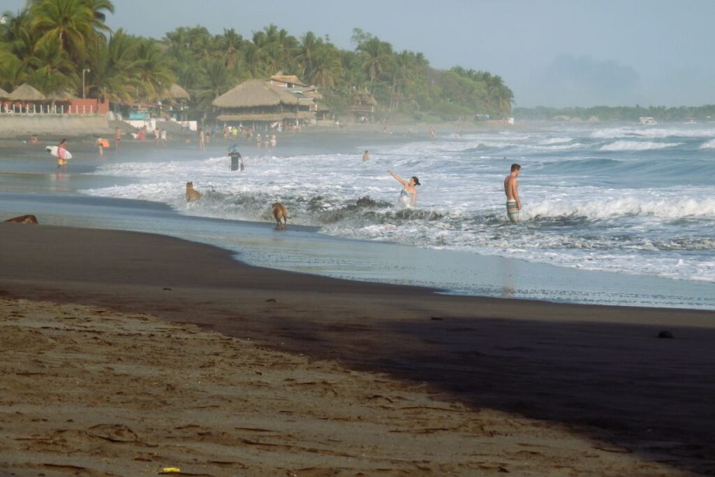 el tunco beach view