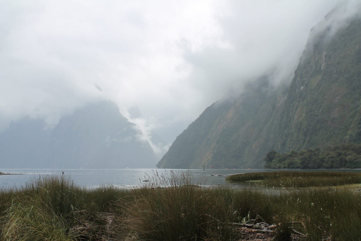 milford sound moody day