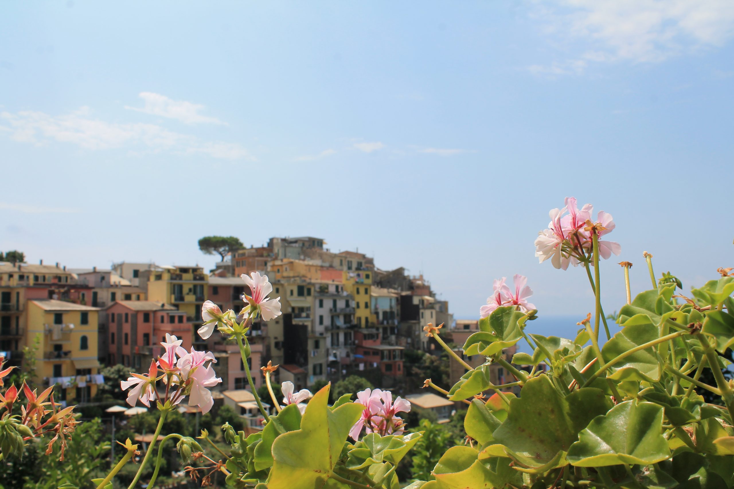 corniglia cinque terre