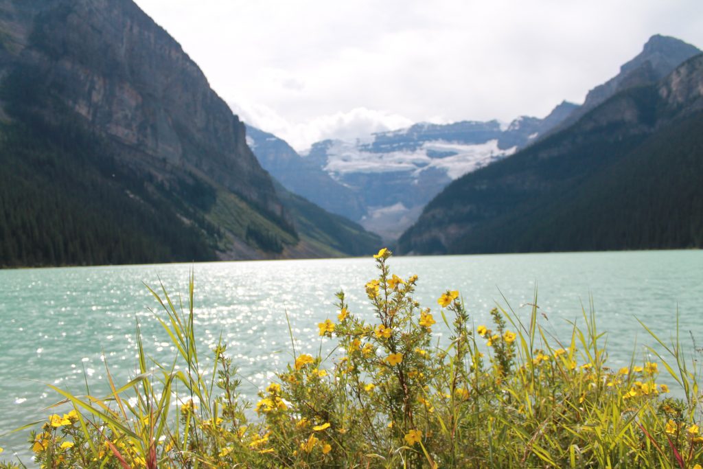 lake louise lakefront