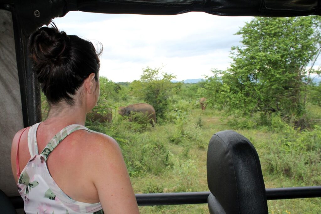 safari udawalawe sri lanka