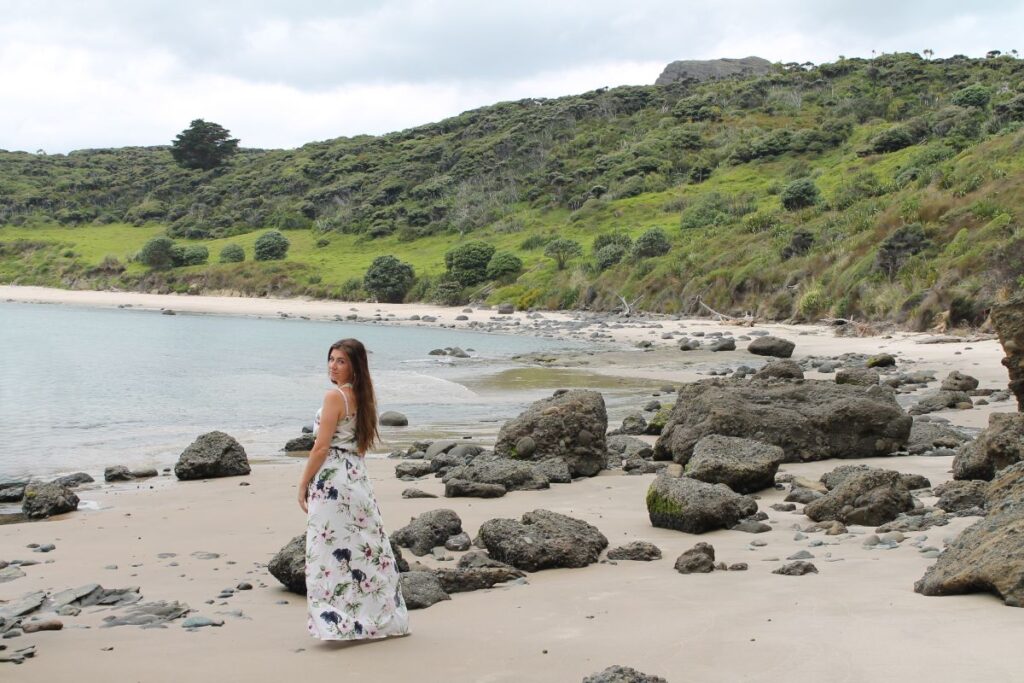 beach west coast northland
