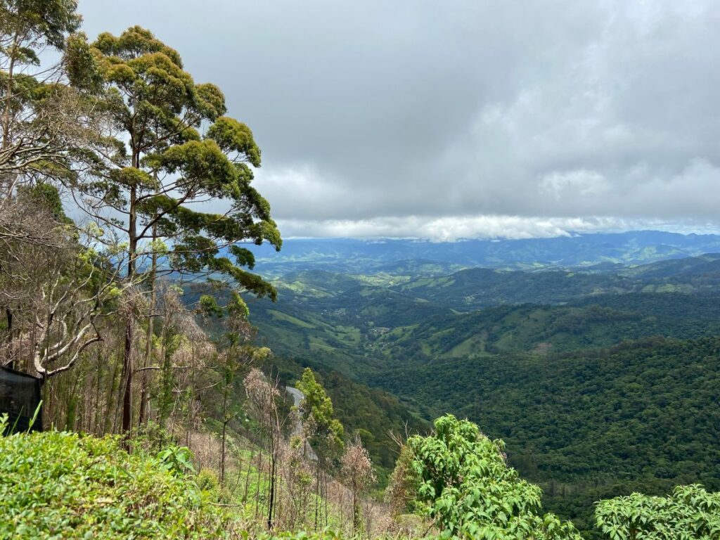 monteverde cloud forest scenery