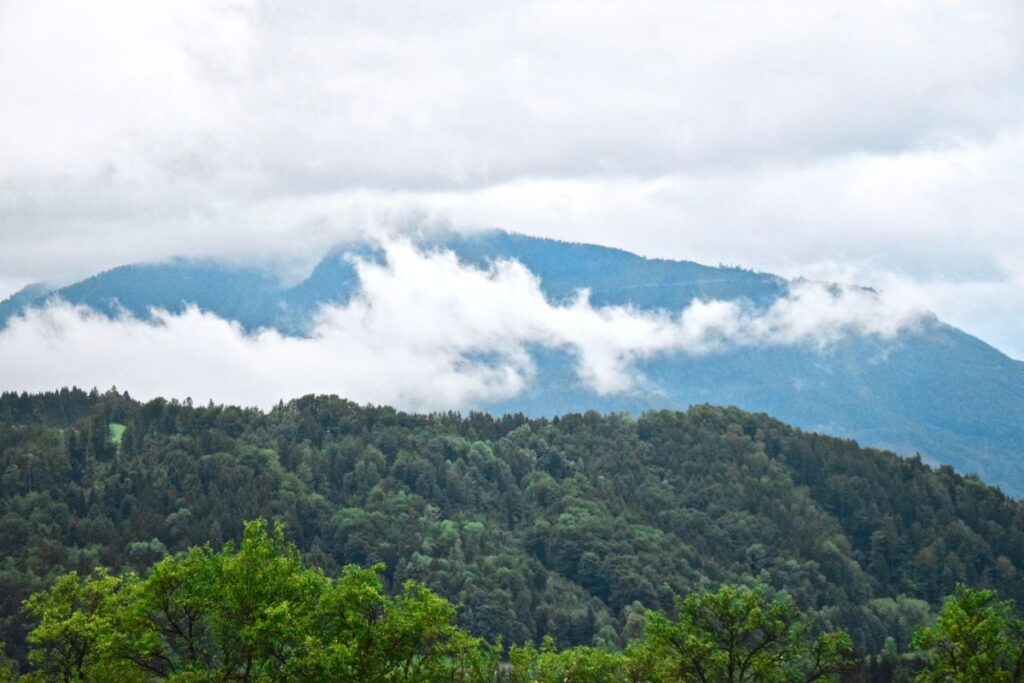 monteverde cloud forest