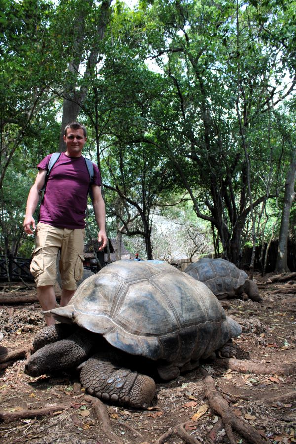 tortoise prison island