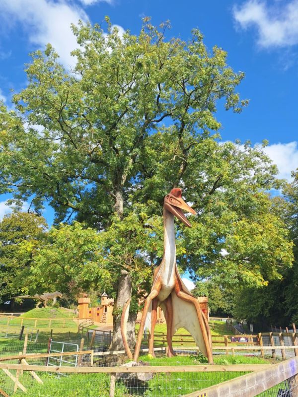 velociraptor newpark kilkenny