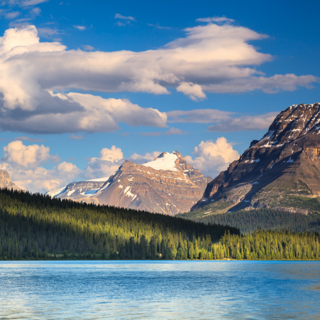 bow lake near lake louise