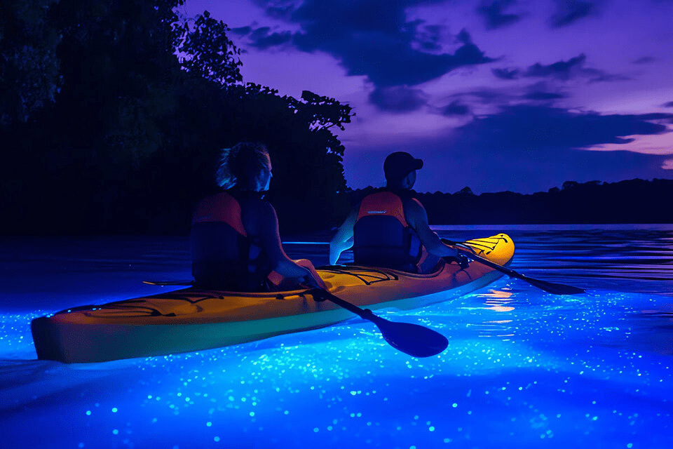 two men kayaking in krabi bioluminescent water