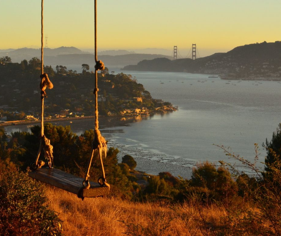 The Hippie Tree Swing outside Tiburon